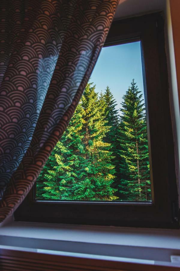 Wood Inn Zabljak  Ngoại thất bức ảnh